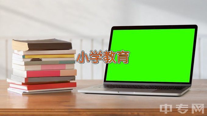 濮阳职业技术学院小学道德与法治教育
