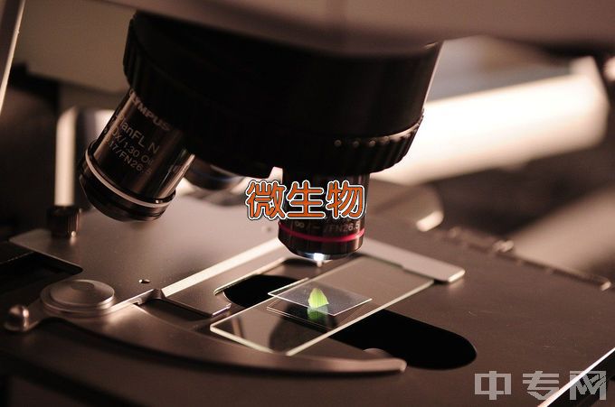 阜阳职业技术学院微生物技术及应用