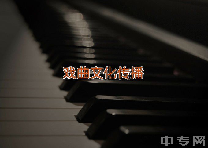 山东艺术学院戏剧影视文学（戏曲文化传播方向）