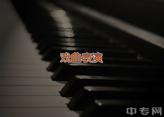 桂林市艺术学校戏曲表演