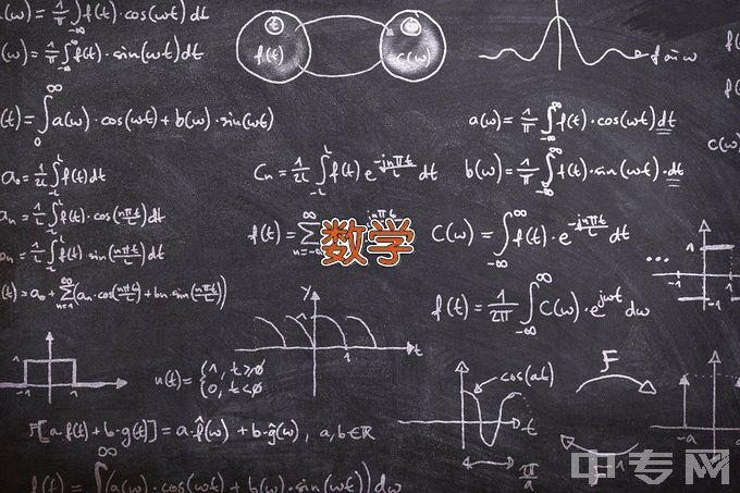 重庆科技学院数学与应用数学