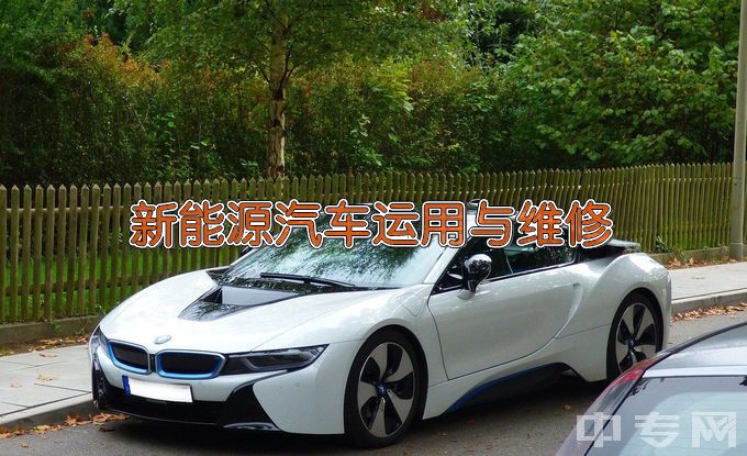 苍梧县中等专业学校新能源汽车运用与维修