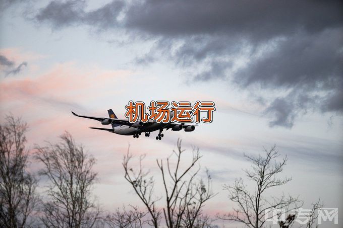 广西蓝天航空职业学院机场运行服务与管理