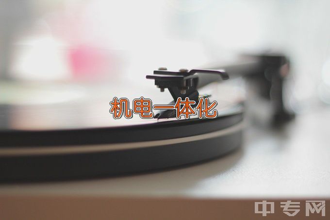 广西轻工技师学院（广西轻工高级技工学校）机电一体化技术