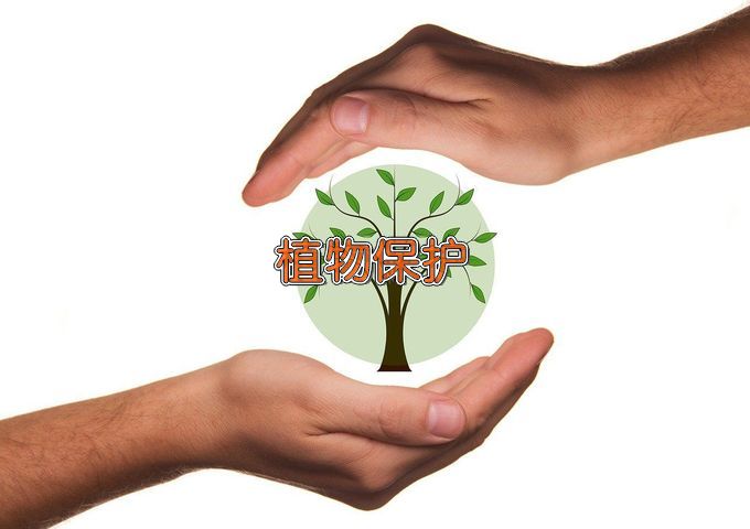 黔南民族师范学院植物保护