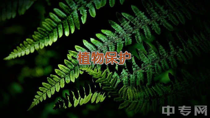 浙江大学植物保护