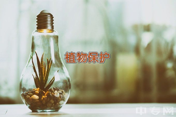 山东农业工程学院植物保护