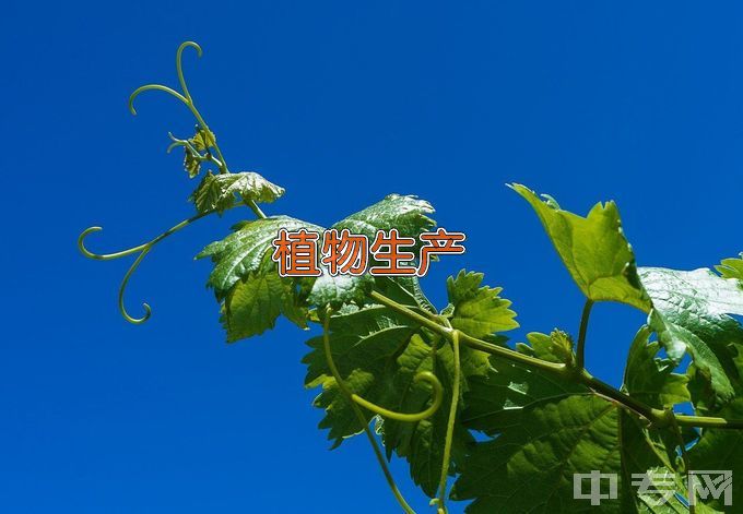 金陵科技学院植物生产类