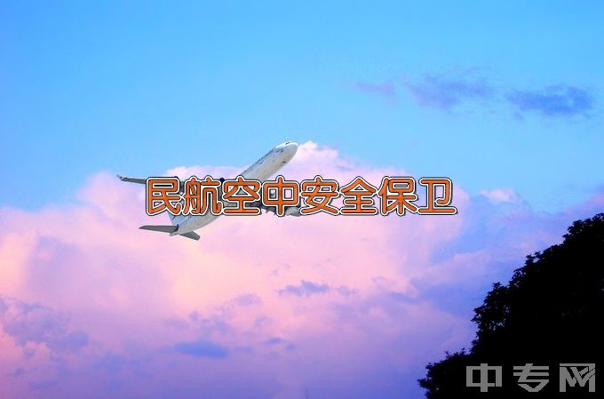 中国民用航空飞行学院民航空中安全保卫