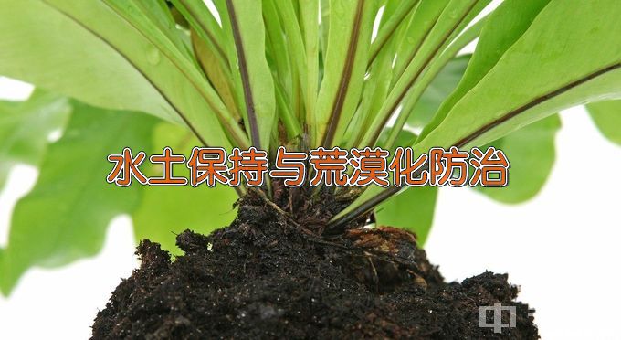 辽宁工程技术大学水土保持与荒漠化防治