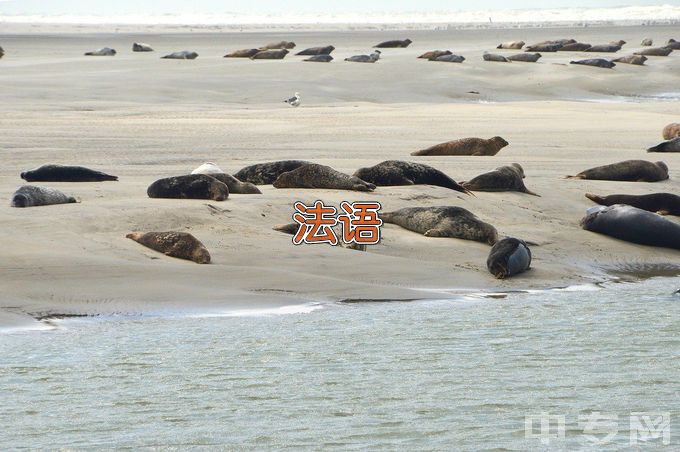 沈阳师范大学法语