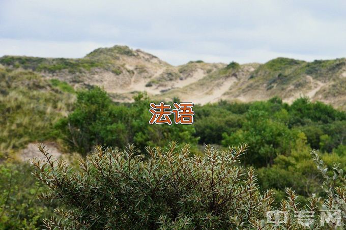 华东师范大学法语