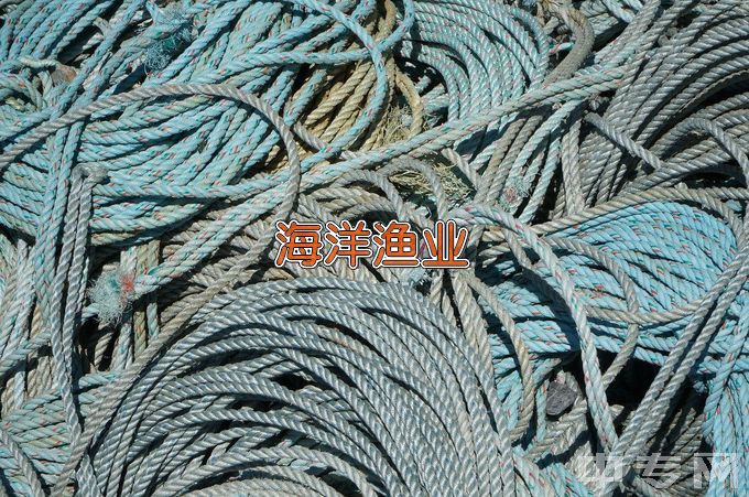 上海海洋大学海洋渔业科学与技术