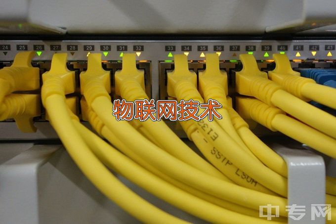 重庆机电职业技术大学物联网工程