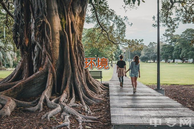 上海工程技术大学环境工程