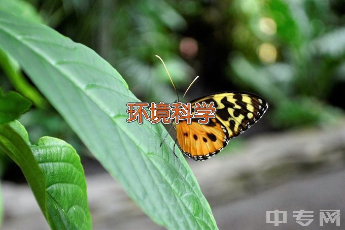 太原科技大学环境科学