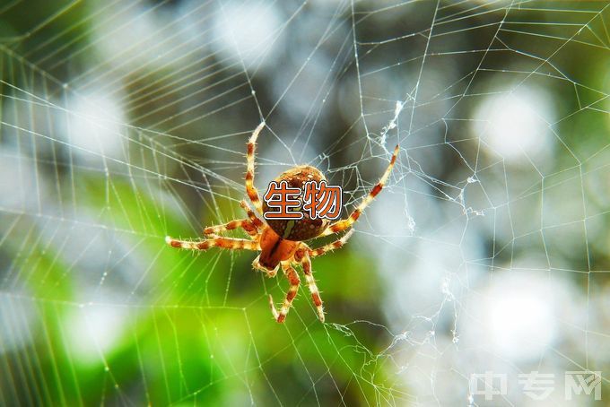 重庆邮电大学生物医学工程