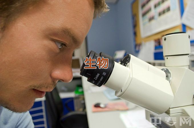 南方医科大学生物医学工程