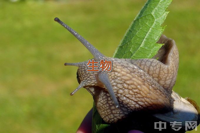 硅湖职业技术学院生物技术及应用