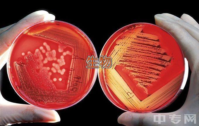 华中农业大学生物信息学