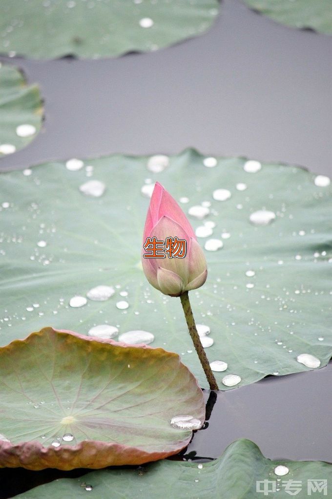 安徽师范大学应用生物科学