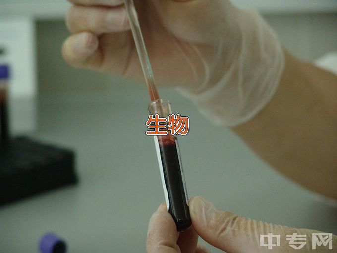 南方科技大学生物信息学