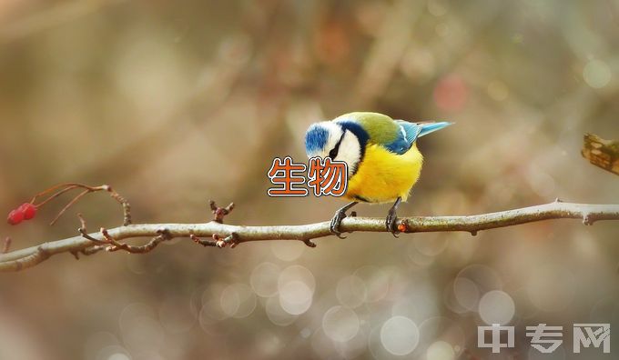 江西中医药大学生物医学工程