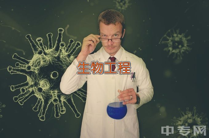 上海大学生物工程类