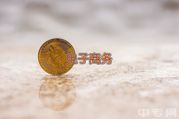 广东省科技职业技术学校电子商务