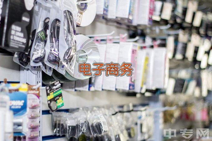 广东省农工商职业技术学校电子商务
