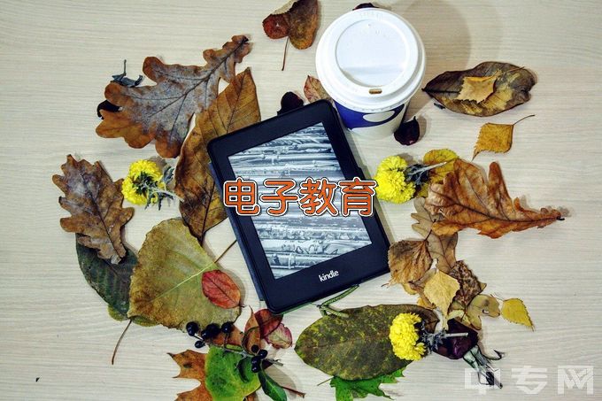 西华师范大学应用电子技术教育