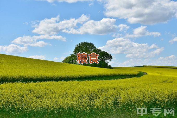 吉林工程职业学院中专粮油和饲料加工技术