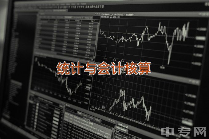 海南经贸职业技术学院统计与会计核算