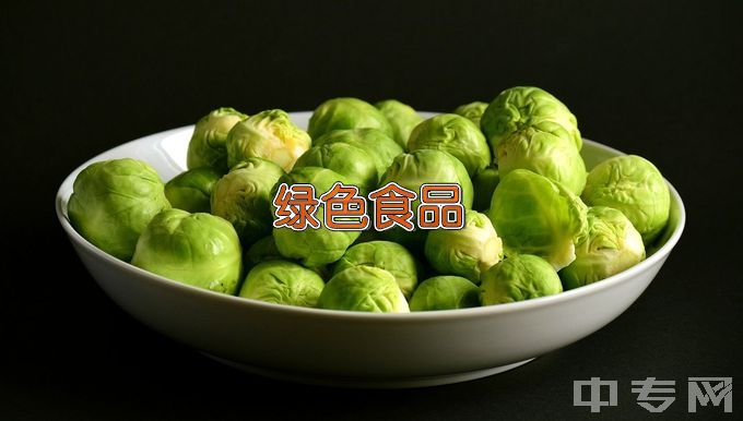 湘阴县第二职业技术学校食品加工工艺