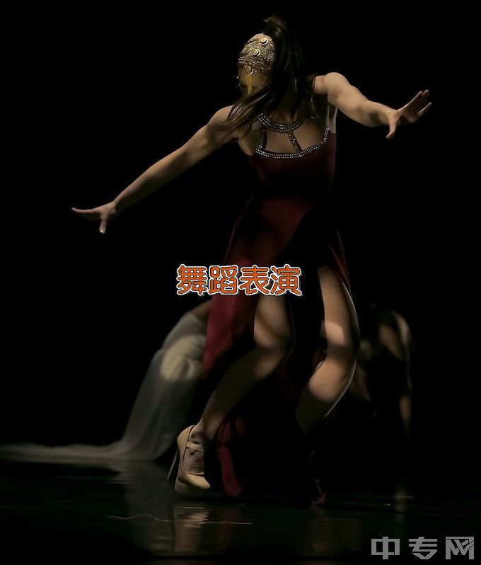 安徽艺术学院舞蹈表演
