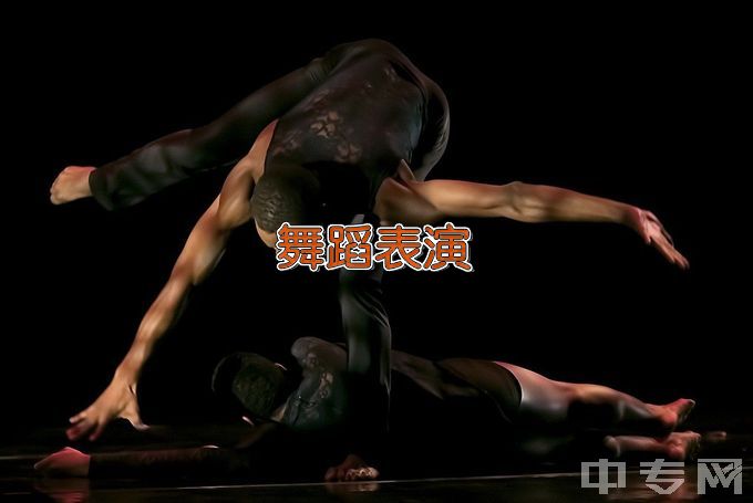 天津艺术职业学院舞蹈表演