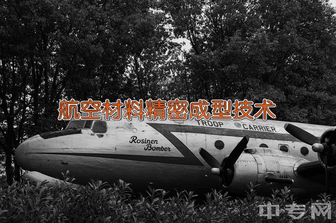 广西蓝天航空职业学院航空材料精密成型技术