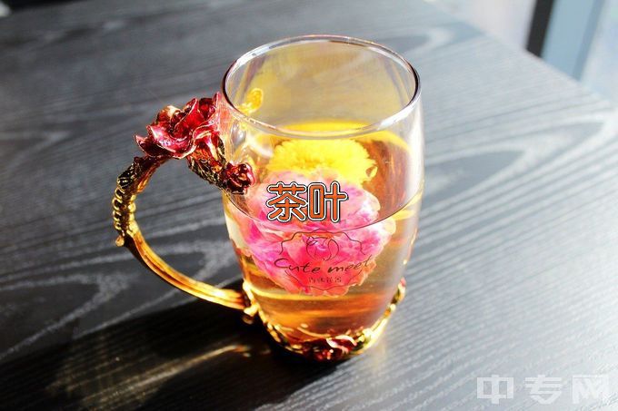 黄山职业技术学院茶叶生产与加工技术