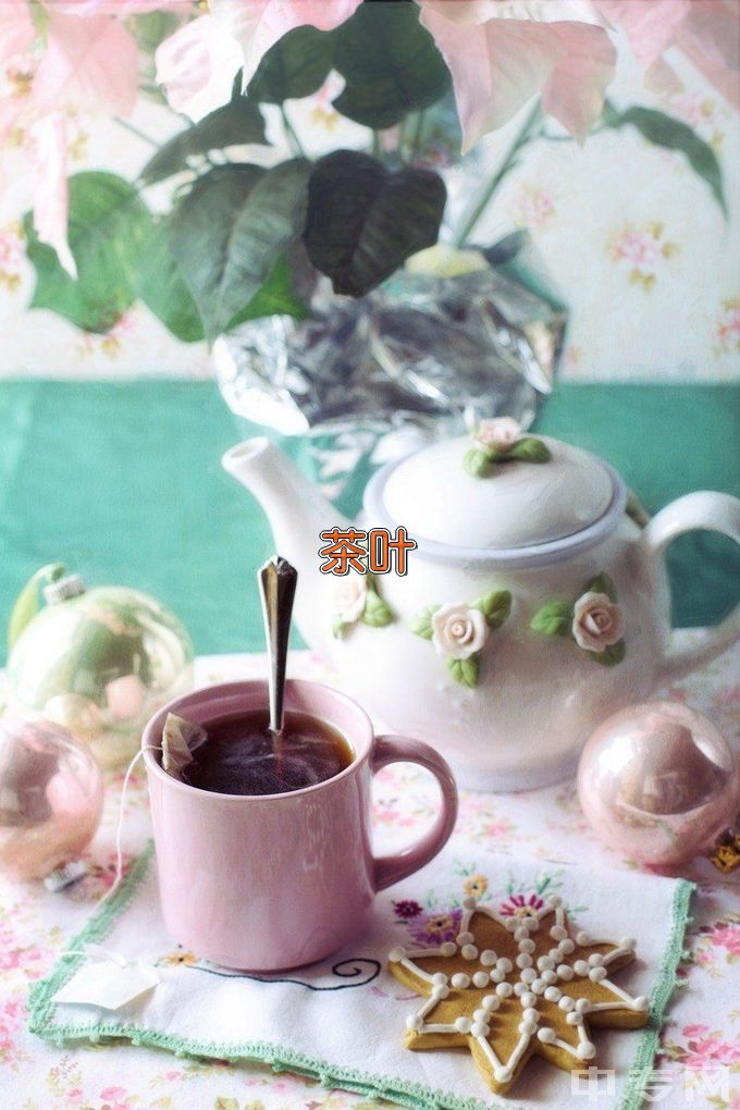 江西婺源茶业职业学院茶艺与茶叶营销