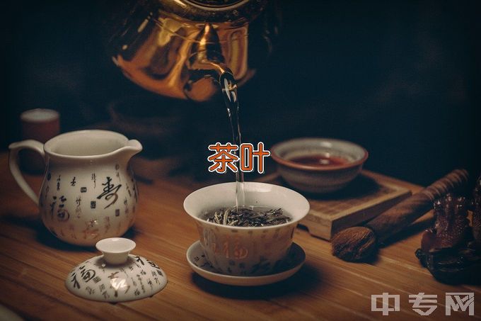 苍梧县中等专业学校茶叶生产与加工