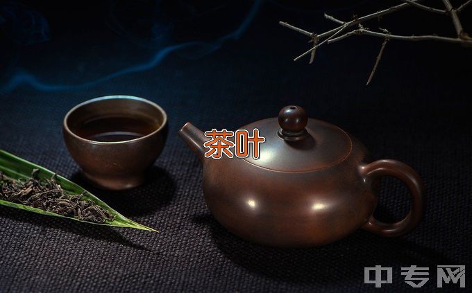 广西职业技术学院茶叶生产与加工技术