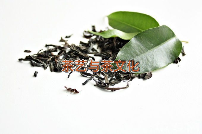 广西职业技术学院茶艺与茶文化