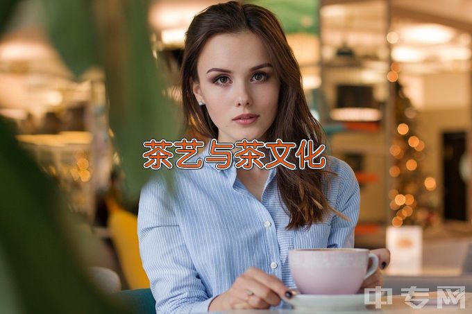 云南农业大学茶艺与茶文化