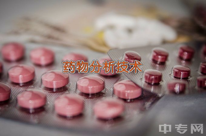 江苏食品药品职业技术学院药物分析技术