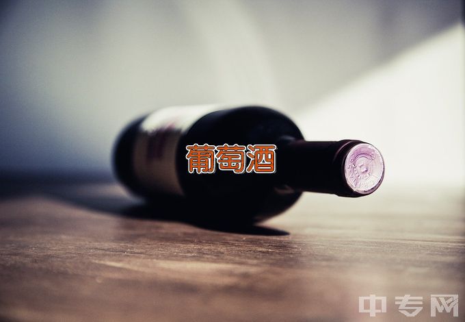 中国农业大学葡萄与葡萄酒工程