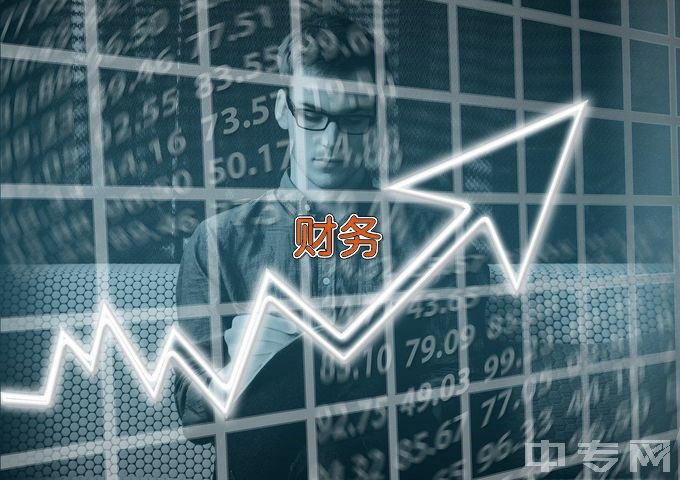 湖南有色金属职业技术学院财务管理