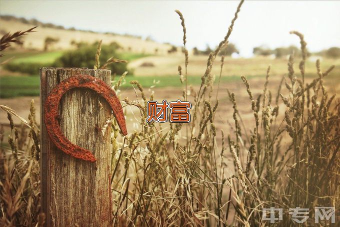 太原学院财富管理