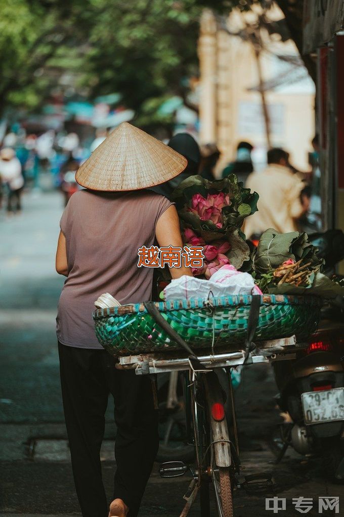 红河学院越南语