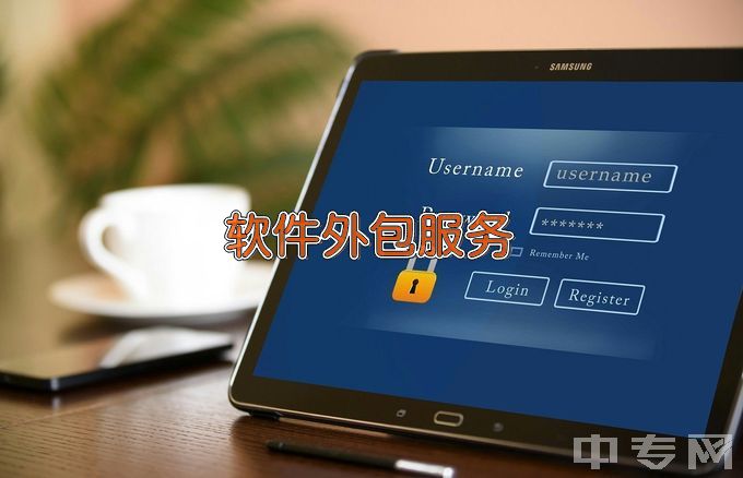 南通理工学院软件外包服务