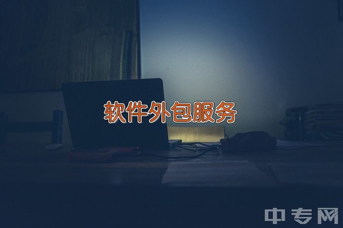 南通理工学院软件外包服务